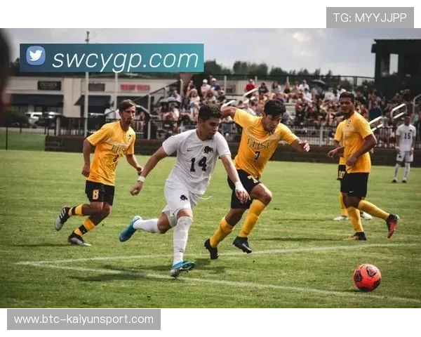 开云体育入口：丰富多样的体育赛事直播入口，满足不同用户的观看需求